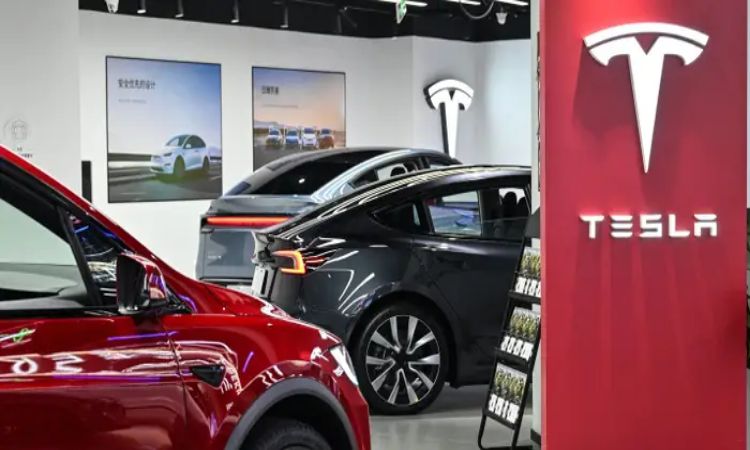 Tesla Share Price Trends: What Investors Need to Know