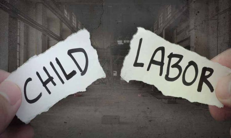 What Is Child Labor and How Can We Fight It?